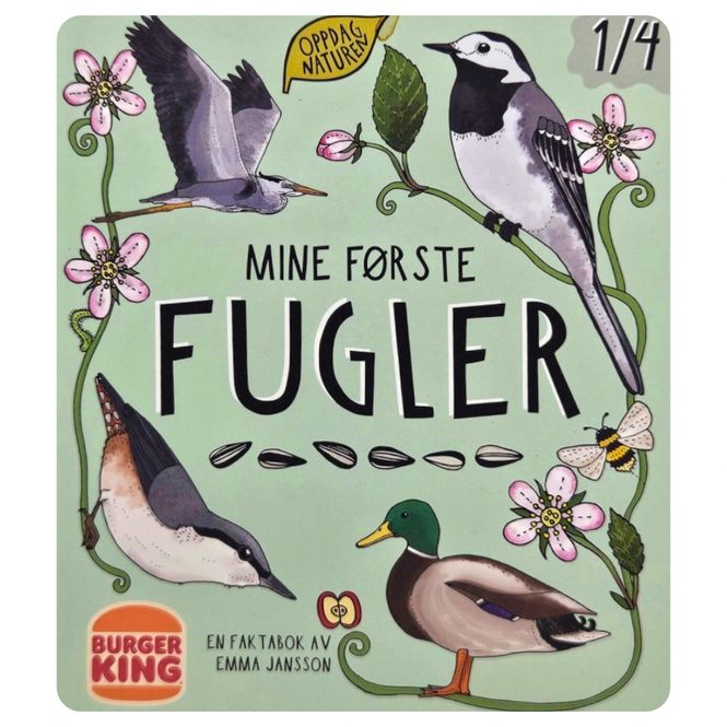 Hovedbilde Mine første fugler