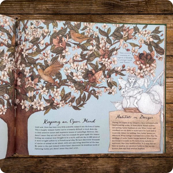 A Natural History of Fairies 