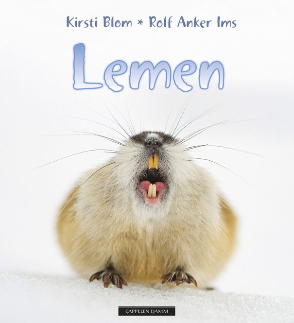 Hovedbilde Lemen. Dyreliv i Arktis 