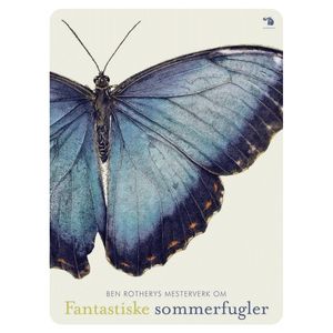 Hovedbilde Fantastiske sommerfugler 