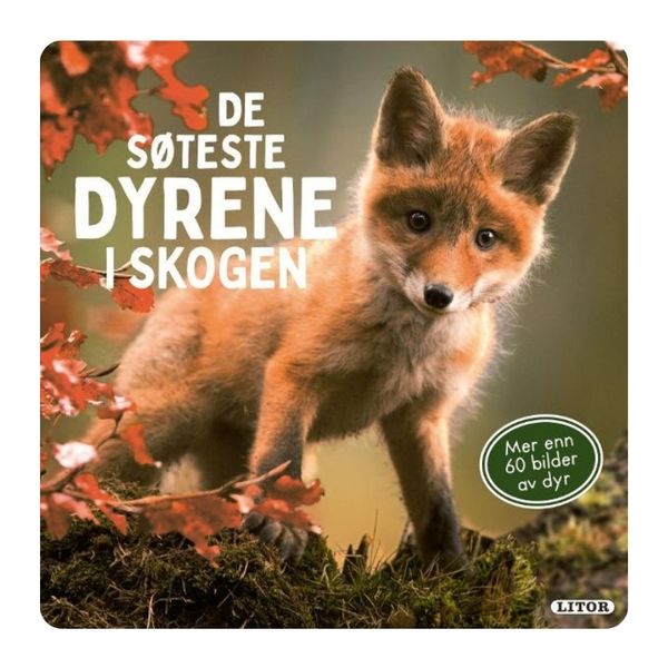 De søteste dyrene i skogen 