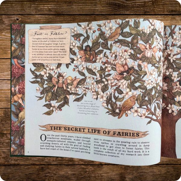 A Natural History of Fairies 