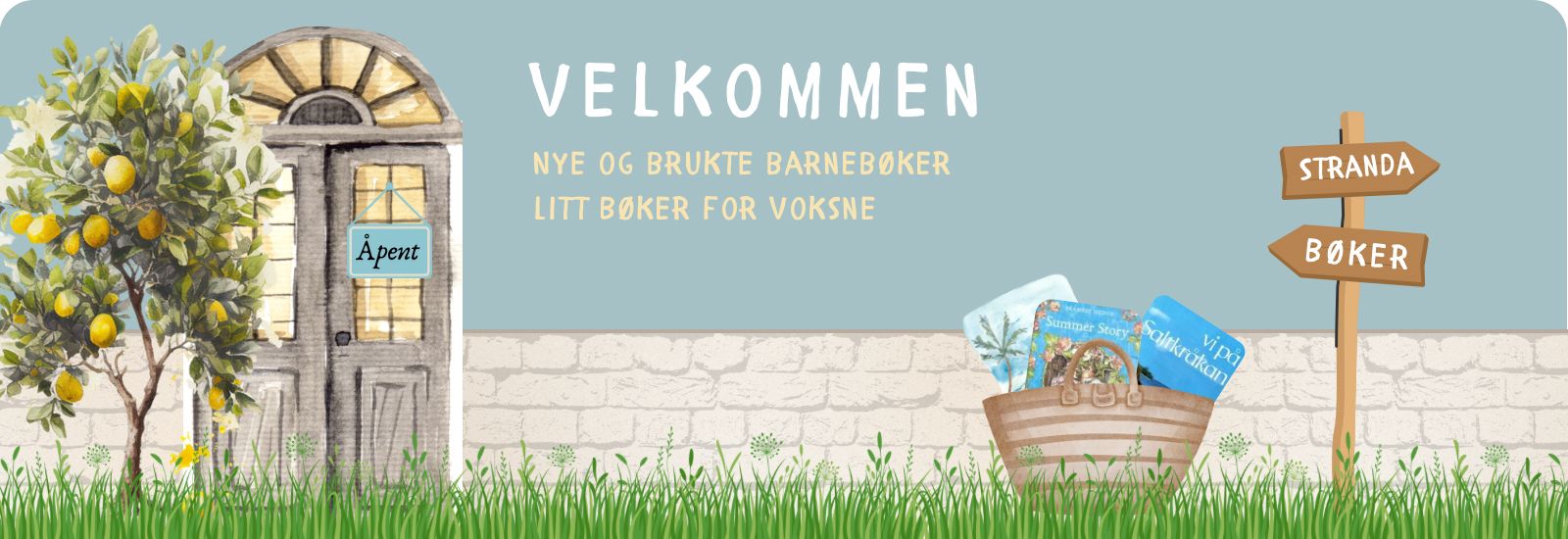 Brukte barnebøker