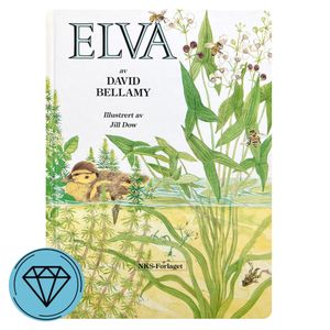 Hovedbilde Elva 